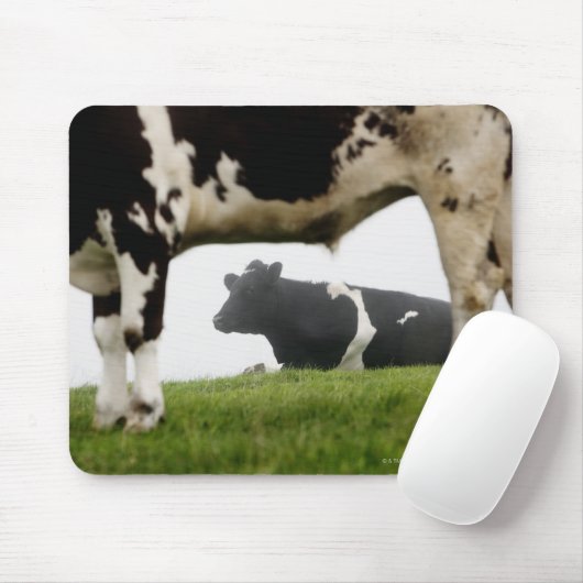zwei mousepad (Mit Mouse)
