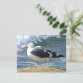 Zwei Möwen Postkarte (Stehend Vorderseite)