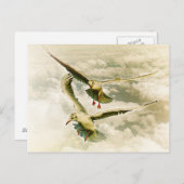 Zwei Möwen Postkarte (Vorne/Hinten)