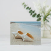 Zwei Muscheln am Sandstrand Postkarte (Stehend Vorderseite)