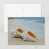 Zwei Muscheln am Sandstrand Postkarte (Vorne/Hinten)
