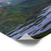 Zwei Nedokeratops/Diceratops Dinosaurier laufen Poster (Ecke)