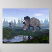 Zwei Nedokeratops/Diceratops Dinosaurier laufen Poster (Vorne)