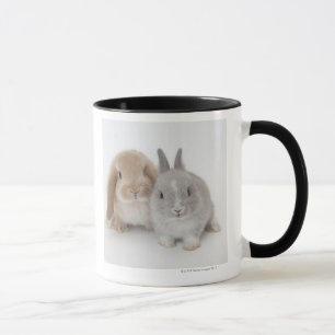 Zwei Netherland Zwerg und Tasse