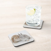 Zwei Netherland Zwerg und Untersetzer (Rechte Seite)