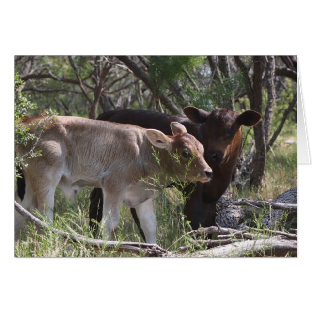 Zwei neue Babys auf dem Bauernhof (Vorderseite (Horizontal))