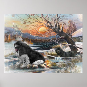Zwei Newfies Winterszene Poster