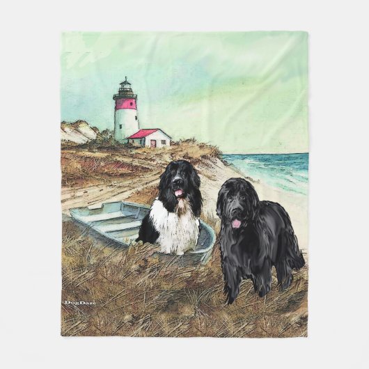 Zwei Newfs und Fleece auf dem Schiff (Vorderseite)