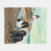 Zwei Newfs und Fleece auf dem Schiff (Vorderseite (Horizontal))