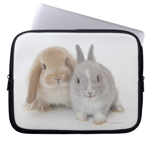 Zwei niederländische Zwerge- und Holland-Lop-Bände Laptopschutzhülle (Vorderseite)