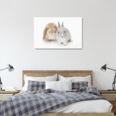 Zwei niederländische Zwerge- und Holland-Lop-Bände Leinwanddruck (Insitu (Schlafzimmer))