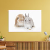 Zwei niederländische Zwerge- und Holland-Lop-Bände Leinwanddruck (Insitu (Wohnzimmer))