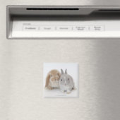 Zwei niederländische Zwerge- und Holland-Lop-Bände Magnet (In Situ (Geschirrspüler))