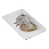 Zwei niederländische Zwerge- und Holland-Lop-Bände Magnet (Rechte Seite)