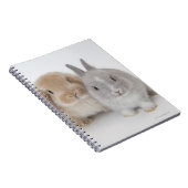 Zwei niederländische Zwerge- und Holland-Lop-Bände Notizblock (Rechte Seite)