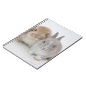 Zwei niederländische Zwerge- und Holland-Lop-Bände Notizblock (Linke Seite)