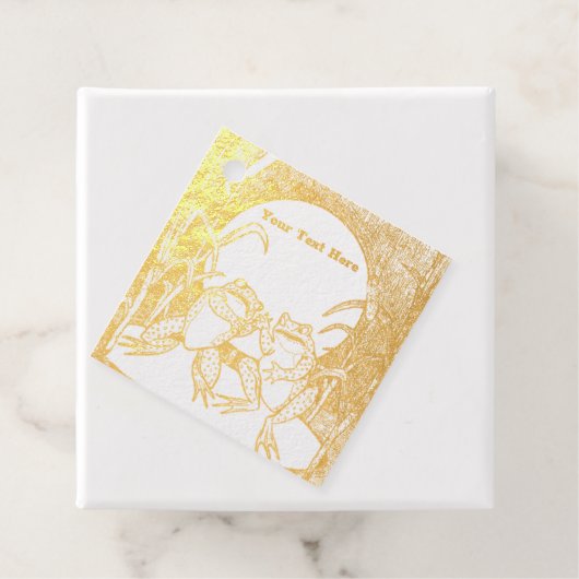 Zwei Niedlich streitende Frösche Lily Pad Moon Pfl Geschenkanhänger (Mit Box)