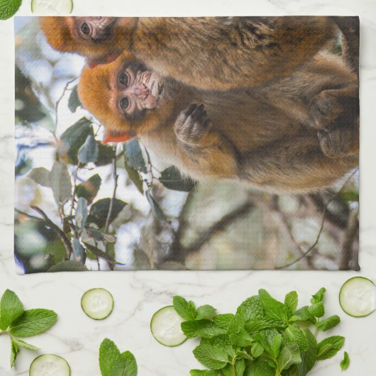 Zwei Niedliche Affen Geschirrtuch (Gefaltet)
