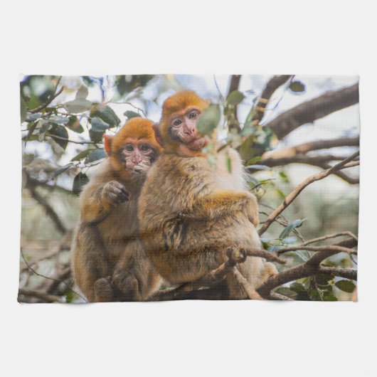 Zwei Niedliche Affen Geschirrtuch (Horizontal)
