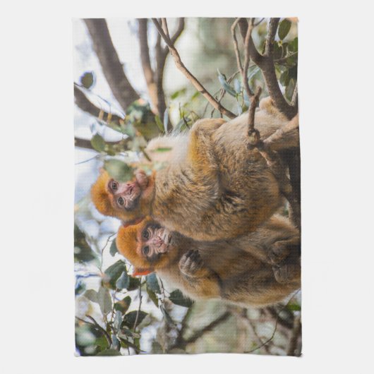 Zwei Niedliche Affen Geschirrtuch (Vertikal)