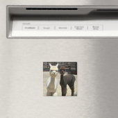 Zwei Niedliche Alpacas Magnet (In Situ (Geschirrspüler))
