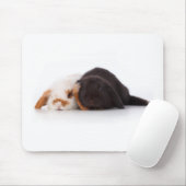 Zwei niedliche Babyhäschen Mousepad (Mit Mouse)