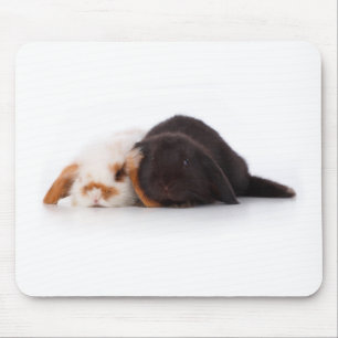 Zwei niedliche Babyhäschen Mousepad