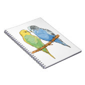 Zwei niedliche blaue und grüne Budgien Notizblock (Rechte Seite)