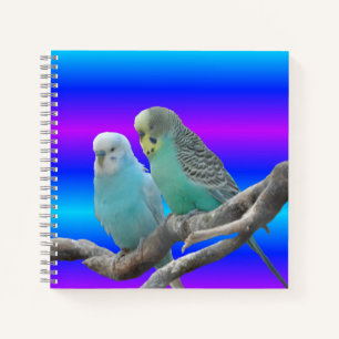 Zwei Niedliche Budgerigar Birds-Notebook Notizblock