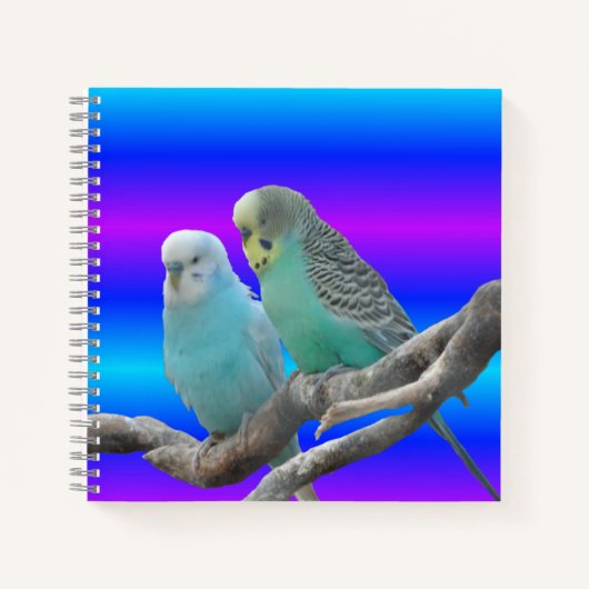 Zwei Niedliche Budgerigar Birds-Notebook Notizblock (Vorderseite)