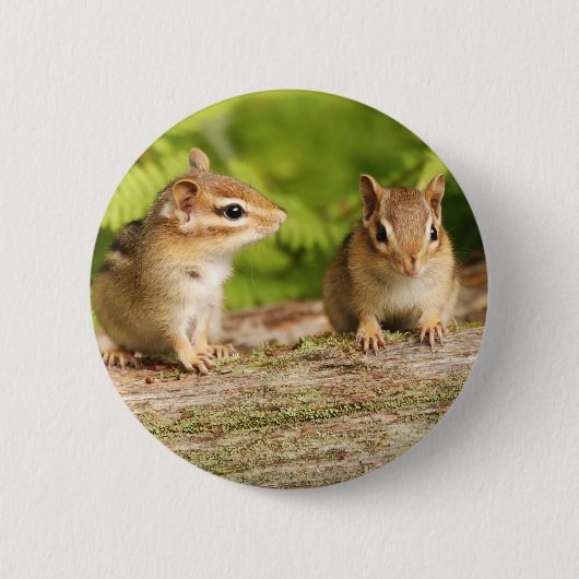 Zwei niedliche Chipmunk-Babys Button (Vorderseite)