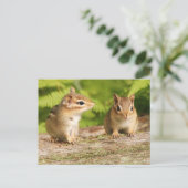 Zwei Niedliche Chipmunk-Babys Postkarte (Stehend Vorderseite)
