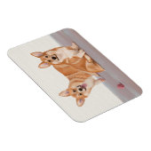Zwei Niedliche Corgis Magnet (Rechte Seite)