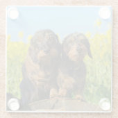 Zwei Niedliche Dackeln Hunde Dackel Friends Pet Fo Glasuntersetzer (Rückseite)