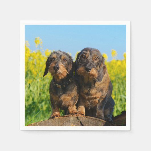 Zwei Niedliche Dackeln Hunde Dackel Friends Pet Fo Serviette (Vorderseite)