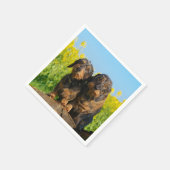 Zwei Niedliche Dackeln Hunde Dackel Friends Pet Fo Serviette (Ecke)