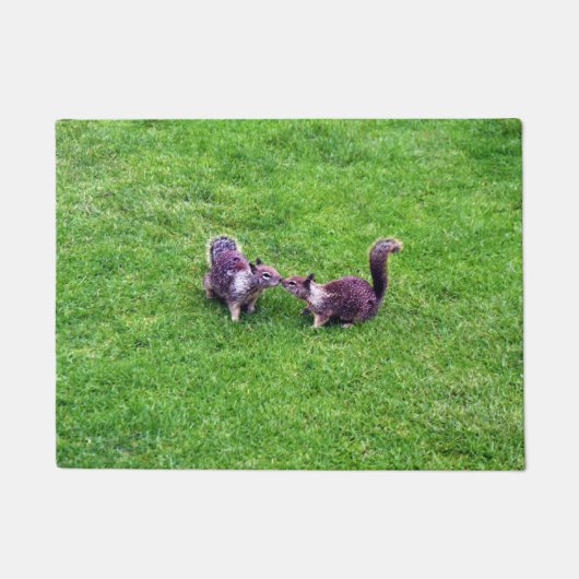 Zwei NIEDLICHE Eichhörnchen küssen Fußmatte (Vorderseite)