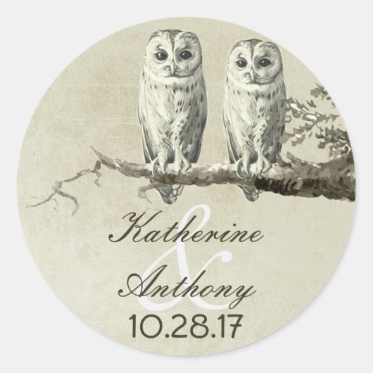 Zwei niedliche Eulen Hochzeitsticker Runder Aufkleber (Vorderseite)