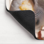 Zwei Niedliche Finkenvögel in Käfig Mousepad (Ecke)