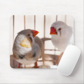 Zwei Niedliche Finkenvögel in Käfig Mousepad (Mit Mouse)