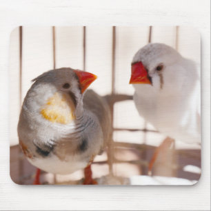 Zwei Niedliche Finkenvögel in Käfig Mousepad