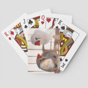 Zwei Niedliche Finkenvögel in Käfig Spielkarten