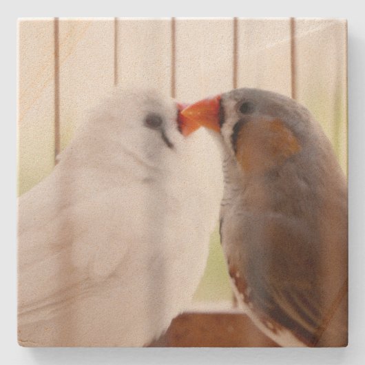 Zwei Niedliche Finkenvögel in Käfig Steinuntersetzer (Vorderseite)