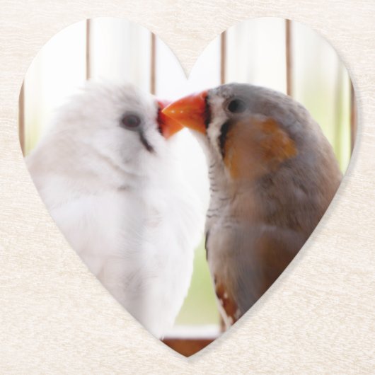 Zwei Niedliche Finkenvögel in Käfig Untersetzer (Vorderseite)