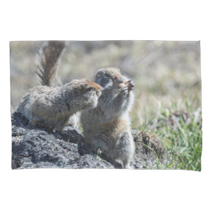 Zwei niedliche Grundeichhörnchen (Gopher, evrazki Kissenbezug