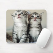 Zwei niedliche Kätzchen Mousepad (Mit Mouse)