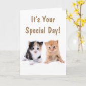 Zwei Niedliche Kätzchen zum Geburtstag Karte (Gelbe Blume)
