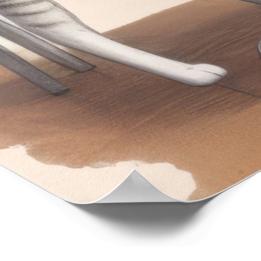 Zwei Niedliche Katzen Poster (Ecke)