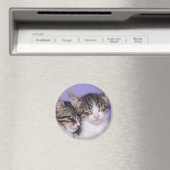 Zwei Niedliche Kitts Napping Magnet (In Situ (Geschirrspüler))