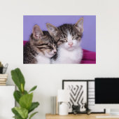 Zwei Niedliche Kitts Napping Poster (Heimbüro)